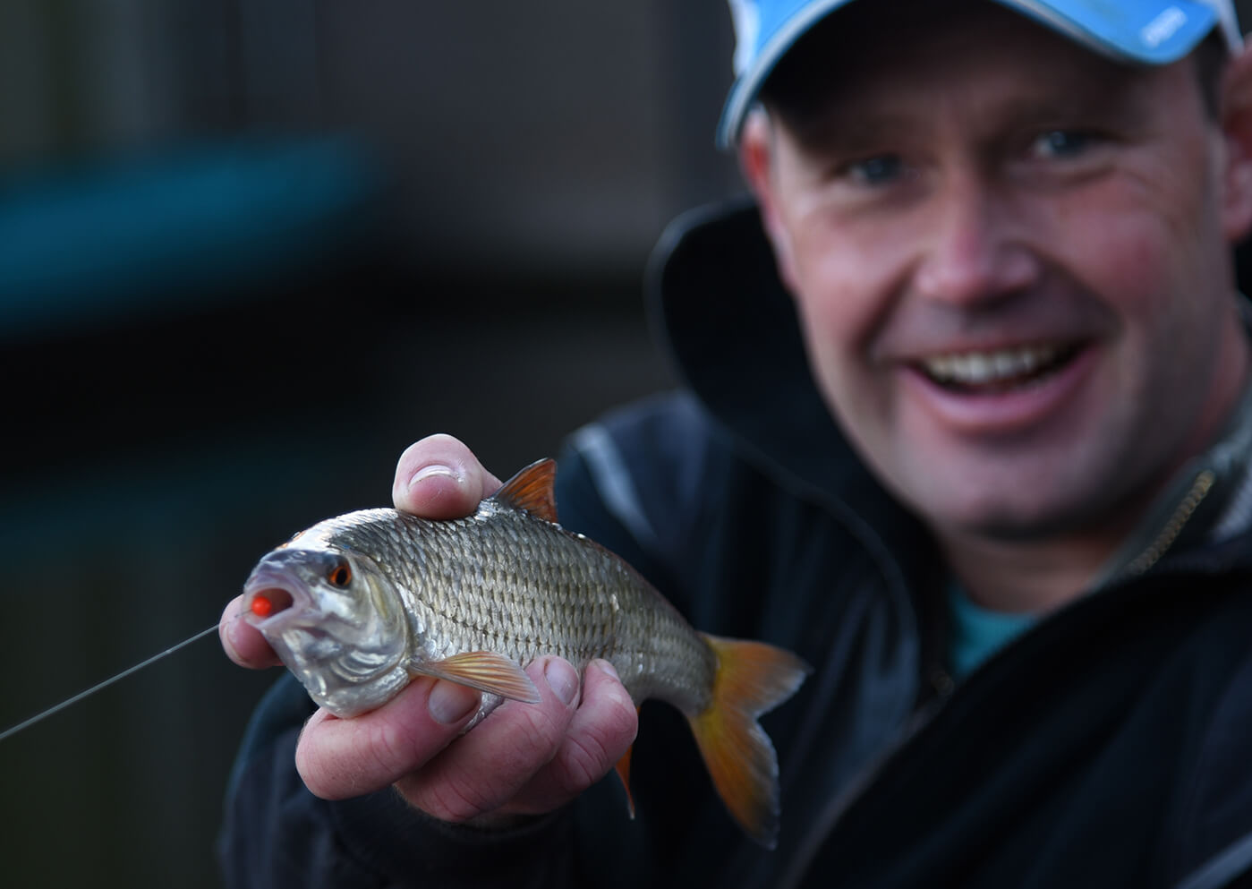 Articifial Baits Products Cresta