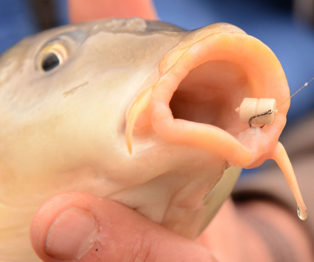 Articifial Baits Produkte Cresta