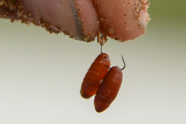 1440x1080_Hooks A1 TF 05 1440x1080_Crochets A1 TF 05