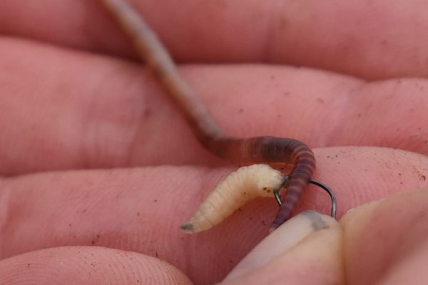 1440x1080_Hooks A1 TF 06 1440x1080_Crochets A1 TF 06